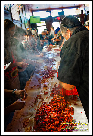 soul_brass_band_crawfish_dba_jm_010314_004