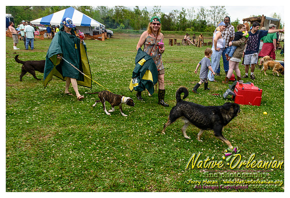 the_dogs_of_tbois_blues_fest__jm_040414_002