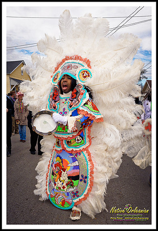 big_chief_monk_boudreaux_mardi_gras_day_jm_021715_021