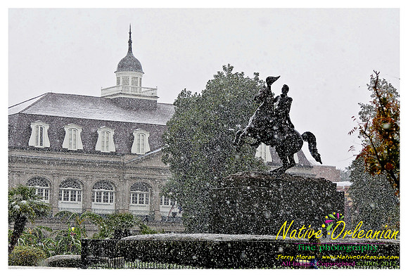 new_orleans_christmas_blizzard_jm_121108_008