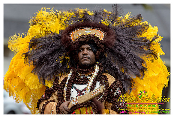 super_sunday_mardi_gras_indians_jm_031713_029
