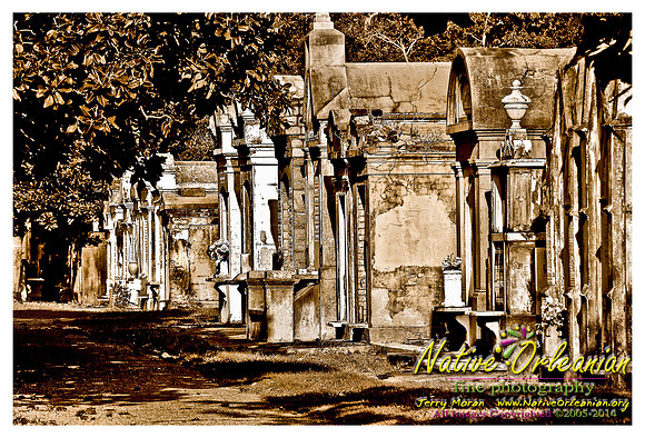 st_louis_cemetery_no_1_2008_jm_©nofp