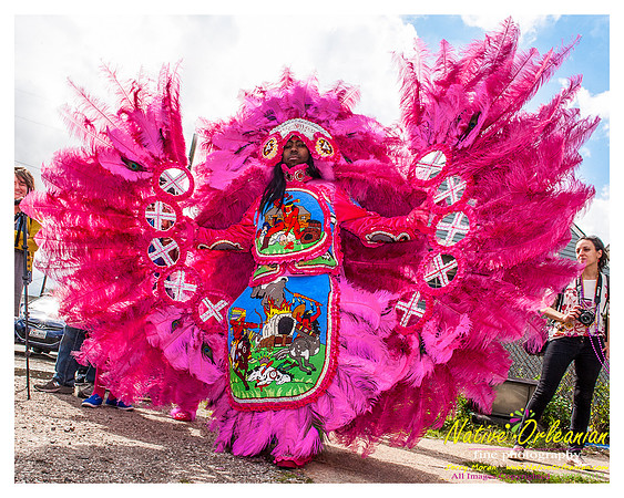 mardi_gras_monk_boudreaux_jm_022112_005