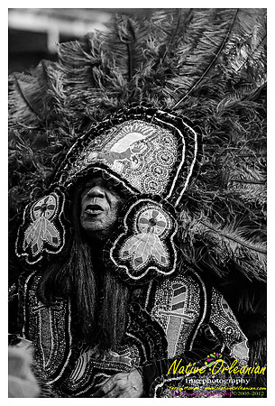 mardi_gras_monk_boudreaux_jm_022112_103