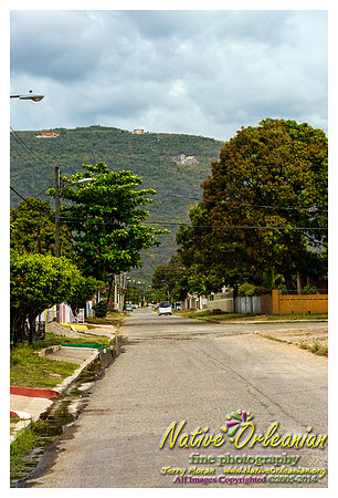big_chief_monk_boudreaux_kingston_jamaica_jm_030714_007