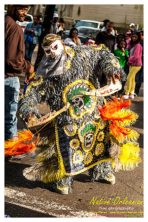 mardi_gras_monk_boudreaux_jm_022112_105
