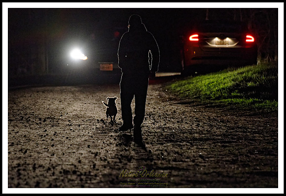 dogs_of_tbois_blues_fest_jm_031619_013