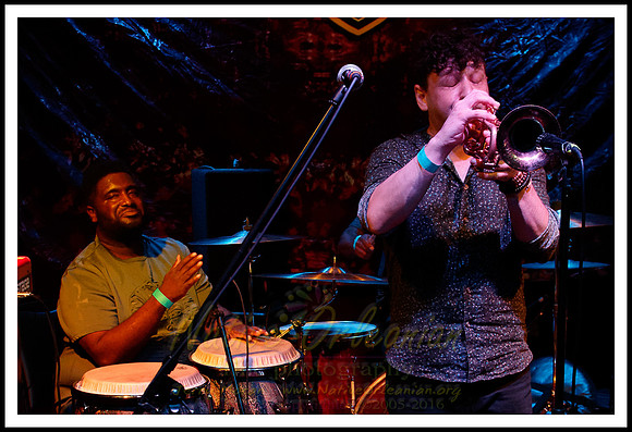 hall_bloom_higgins_shagfest_dba_jm_073116_002