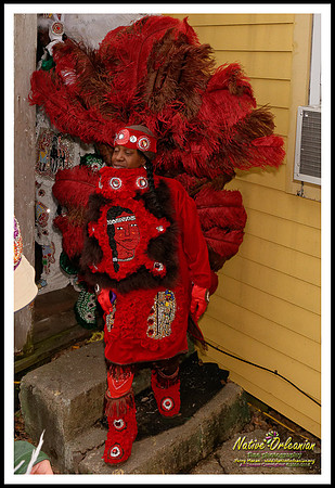 big_chief_monk_boudreaux_mardi_gras_day_jm_021715_012
