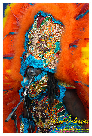 super_sunday_mardi_gras_indians_jm_031713_053