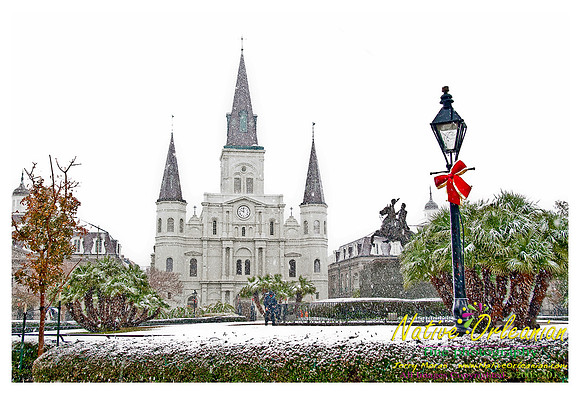 new_orleans_christmas_blizzard_jm_121108_013