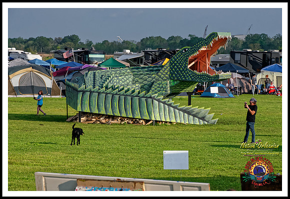 scenes_tbois_blues_fest_jm_032015_042