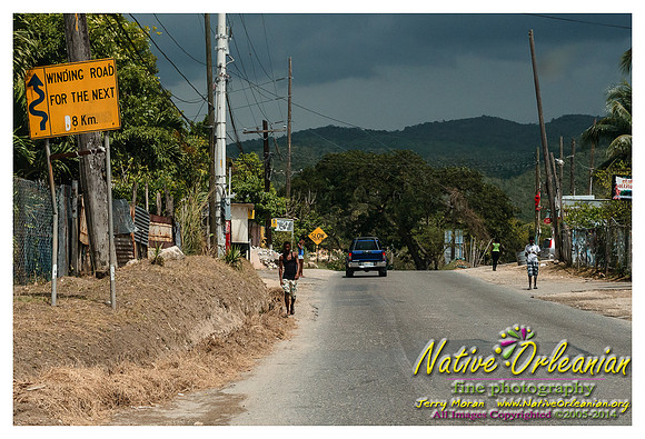 big_chief_monk_boudreaux_kingston_jamaica_jm_030714_016