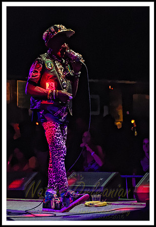 lee_scratch_perry_tipitinas_jm_081716_021