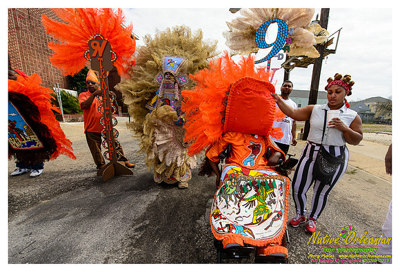 super_sunday_mardi_gras_indians_jm_031713_144