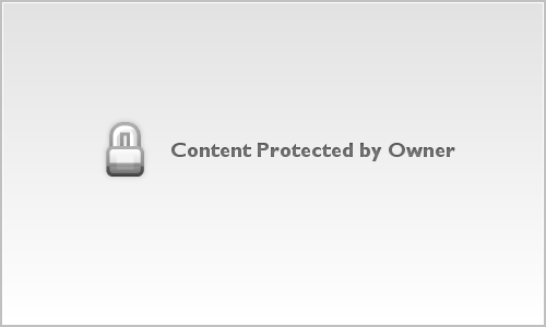 Soul Bag Images France