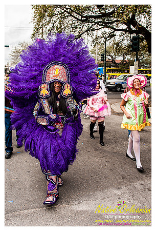 mardi_gras_monk_boudreaux_jm_022112_026