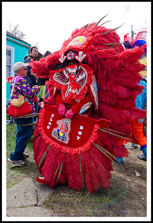 big_chief_monk_boudreaux_mardi_gras_day_jm_021318_033