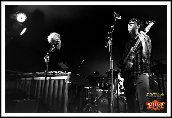 mike_dillon_band_nola_brewing_jm_082115_012