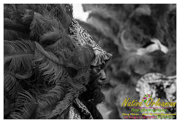 super_sunday_mardi_gras_indians_jm_031713_080
