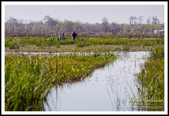 prebois_at_tbois_jm_022716_004