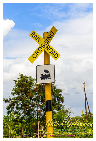big_chief_monk_boudreaux_kingston_jamaica_jm_030714_013