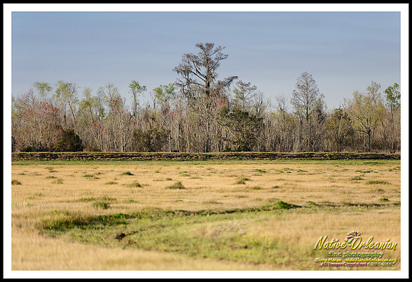 prebois_at_tbois_jm_022716_019