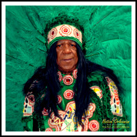 Mardi Gras Day 2015  with Big Chief Monk Boudreaux