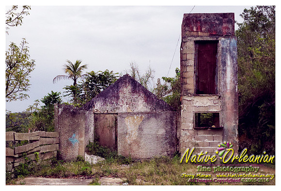 big_chief_monk_boudreaux_kingston_jamaica_jm_030714_030
