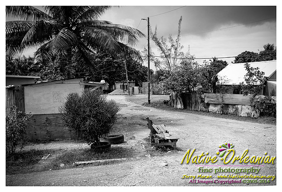 big_chief_monk_boudreaux_kingston_jamaica_jm_030714_015