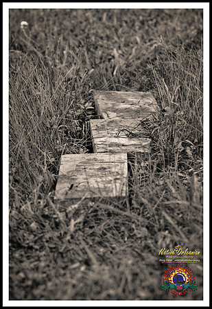 scenes_tbois_blues_fest_jm_032115_031