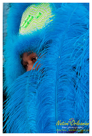 mardi_gras_monk_boudreaux_jm_022112_087
