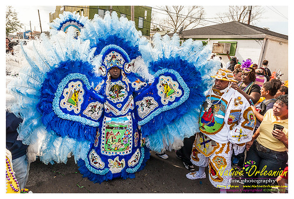 mardi_gras_monk_boudreaux_jm_022112_082