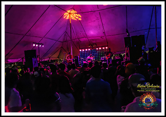 cedric_burnside_project_tbois_blues_fest_jm_032015_010