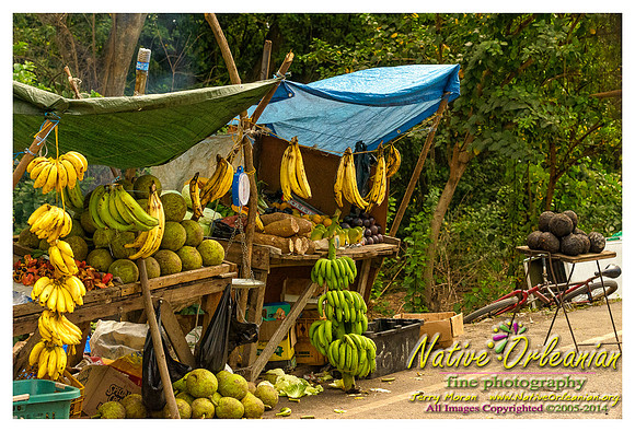 big_chief_monk_boudreaux_kingston_jamaica_jm_030714_012