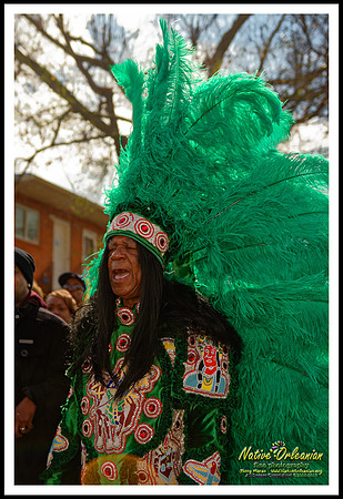 big_chief_monk_boudreaux_mardi_gras_day_jm_021715_039
