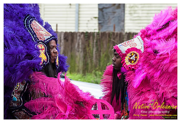 mardi_gras_monk_boudreaux_jm_022112_093