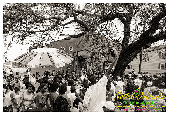 super_sunday_mardi_gras_indians_jm_031713_037