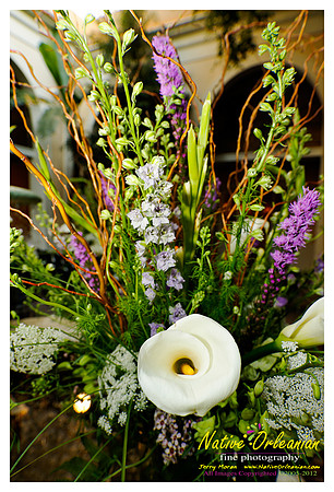 champagnewed04022011_017