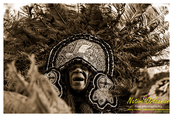 mardi_gras_monk_boudreaux_jm_022112_101