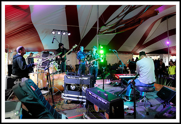 new_orleans_suspects_tbois_blues_fest_jm_031619_004