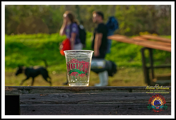 scenes_tbois_blues_fest_jm_032015_043
