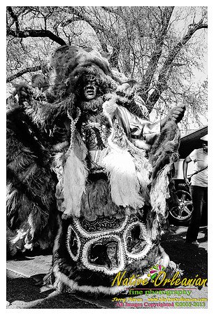 super_sunday_mardi_gras_indians_jm_031713_046
