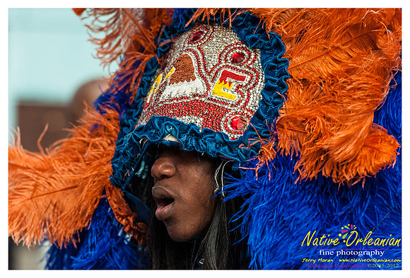 mardi_gras_monk_boudreaux_jm_022112_104