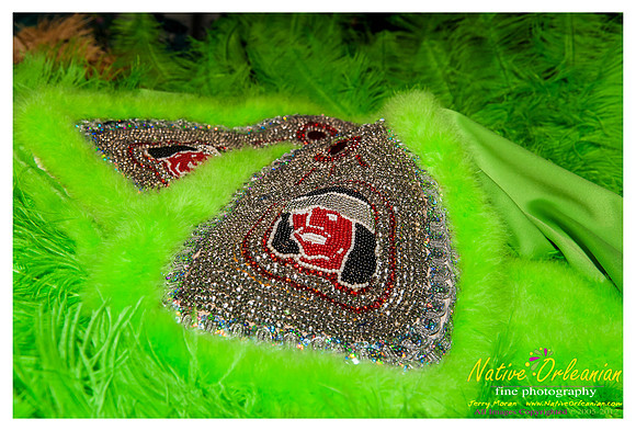 mardi_gras_monk_boudreaux_jm_022112_085