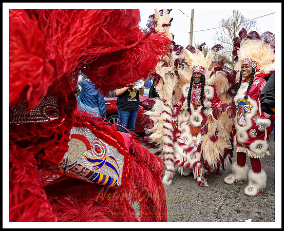 big_chief_monk_boudreaux_mardi_gras_day_jm_021318_064