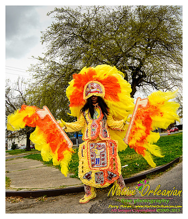 super_sunday_mardi_gras_indians_jm_031713_023