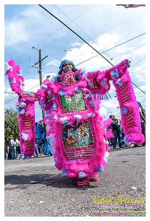 mardi_gras_monk_boudreaux_jm_022112_088