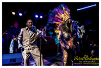 wildmagnolias_tips_jm_031112_016