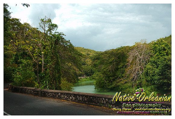 big_chief_monk_boudreaux_kingston_jamaica_jm_030714_017